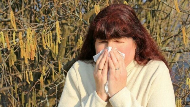 Stadig flere sliter med allergi, for eksempel mot pollen. Hvorfor er det slik?
