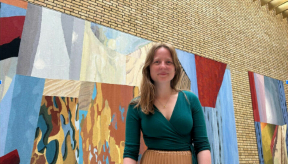 Vararepresentanten mener kort vei mellom politikerne og folket gir Norge en fordel.