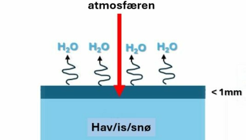 Varmestrålene fra atmosfæren absorberes i et tynt sjikt i vann, is og snø. En stor andel av energien går med til å lage vanndamp, som er en drivhusgass.