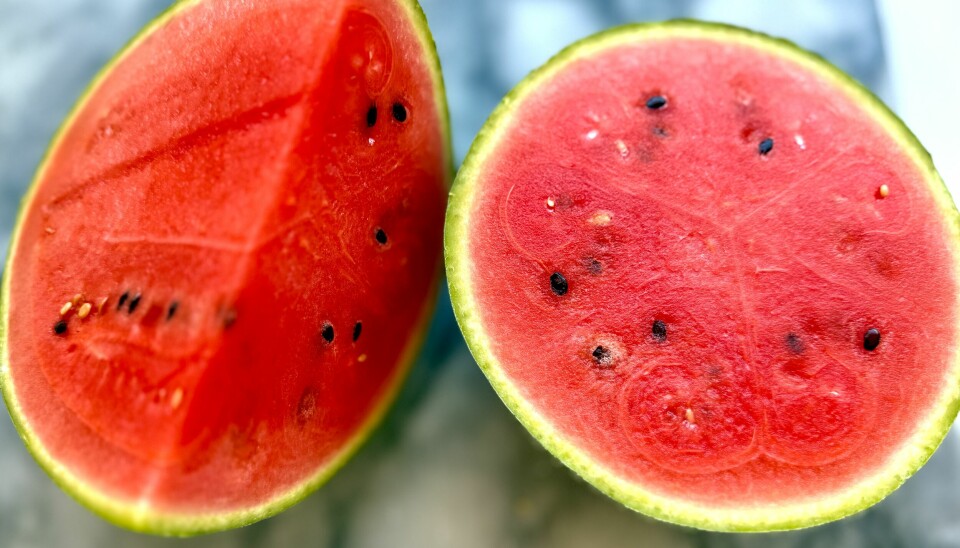 Moden vannmelon er både søt, saftig og full av næring – perfekt på varme dag