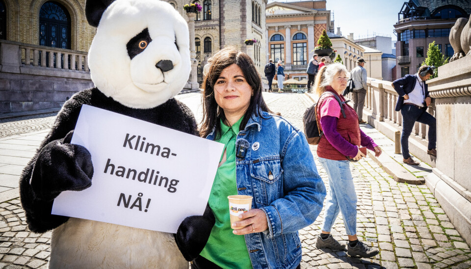 – Guiden vår viser at kun Sosialistisk Venstreparti, Venstre, Miljøpartiet De Grønne og Rødt leder an i klima- og naturpolitikken. Resten av partiene somler, eller fungerer som en brems, sier leder Karoline Andaur i Verdens naturfond WWF.