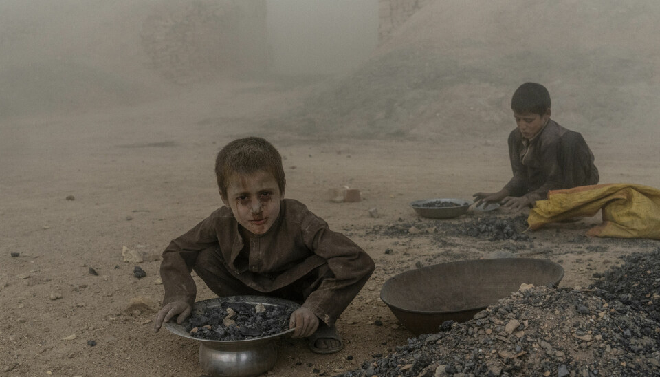 Afghanske barn i arbeid på en mursteinsfabrikk utenfor Kabul i 2022. Ifølge hjelpeorganisasjoner har antallet barnearbeidere i landet økt siden Talibans maktovertakelse og økonomien kollapset.
