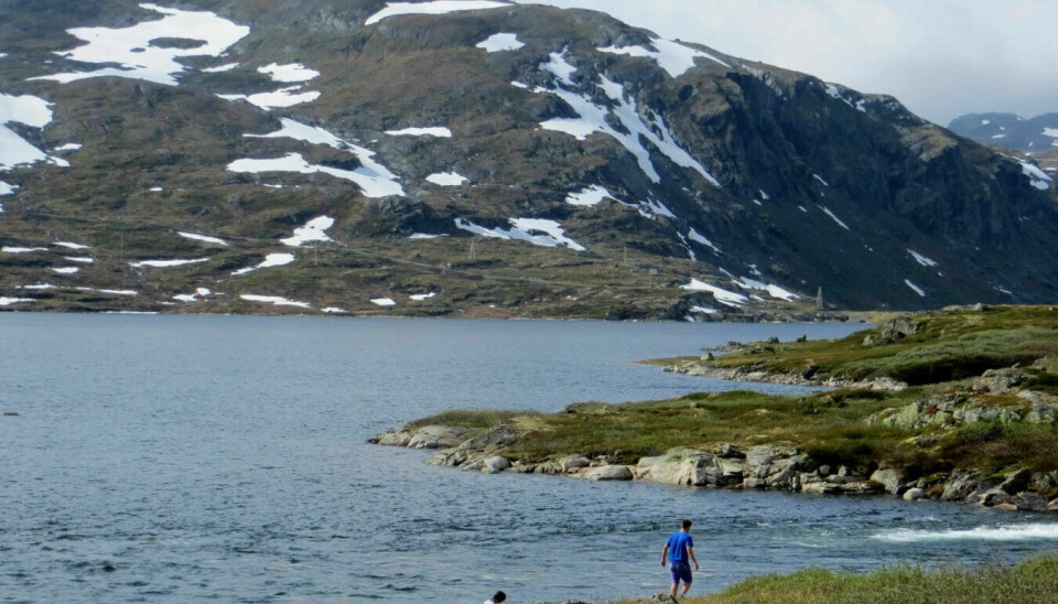 God fyllingsgrad i magasinene til tross, strømmen forventes å bli dyr i Sør-Norge gjennom sommeren. Lite snø i fjellene er en av de viktigste årsakene.