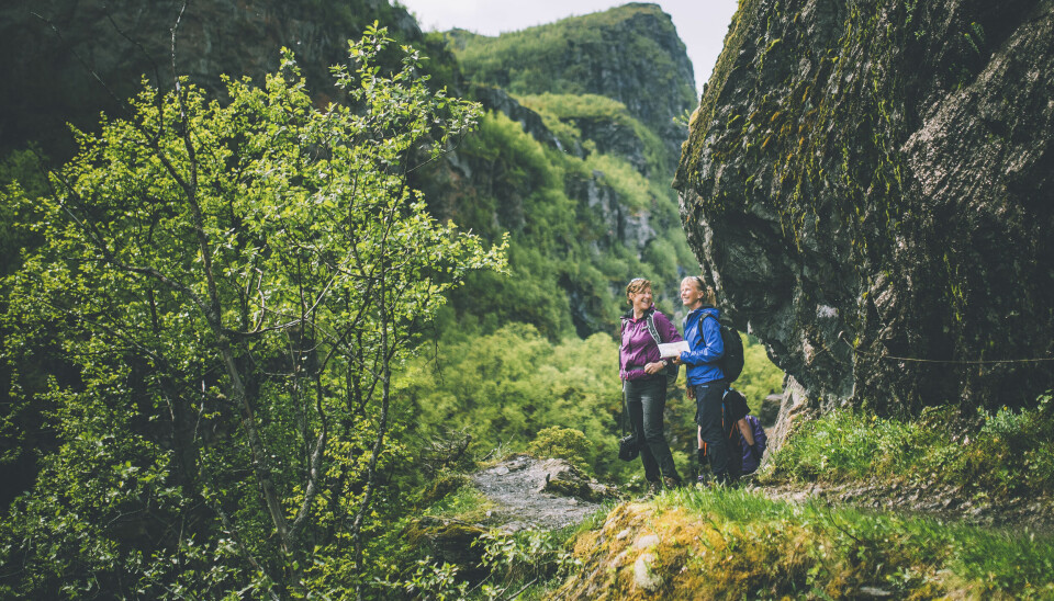 Det er hverken Preikestolen, Trolltunga eller Besseggen det søkes mest etter når folk besøker tursiden Ut.no i 2025. Vi snakket med redaktør Veronica Solbak som forteller at felles for alle de fem turene på topplisten, er at de gir spektakulære naturopplevelser.