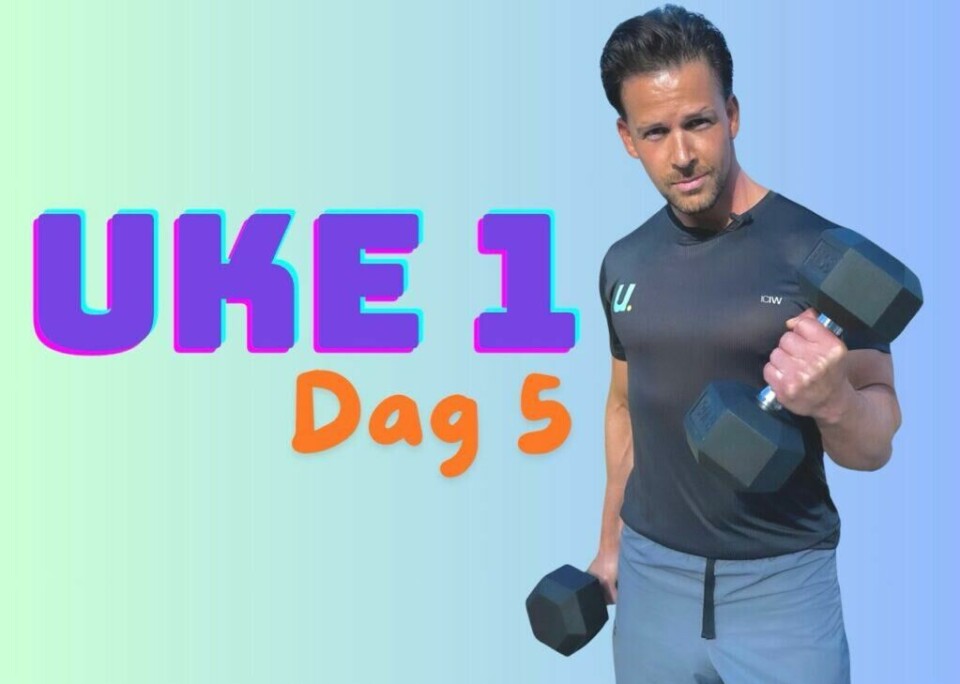 Cornelis Elandersstyrkeprogram for dagen i dag fokuserer på overkropp og kjernemuskulatur/mage! Gjør deg klar for sterkere armer, kjernemuskulatur, mage og overkropp med push-ups, crunches, stående roing med manualer, dips på benk og «Cornelis Planke Push-Up» på Swissball. (Foto: Cecilie Aasland / ABC Startsiden)