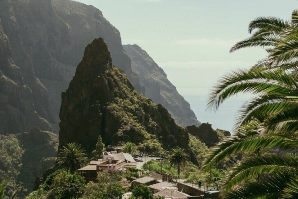 Lansbyen Masca ligger i en dramatisk fjellkløft omgitt av vill naturprakt i Mascadalen, nordvest på Tenerife. (Foto: Canva) Bildet viser den pittoreske landsbyen Masca, som ligger dramatisk plassert i en frodig dal omgitt av bratte fjellvegger på Tenerife. I forgrunnen sees palmer og tradisjonelle, små hus med teglsteinstak, mens en markant, klippeformet fjelltopp dominerer midten av bildet. Den dype dalen strekker seg nedover mot horisonten, hvor havet skimtes i det fjerne. Den grønne vegetasjonen og det bratte terrenget gir stedet en unik, bortgjemt sjarm. Masca er kjent som en av Tenerifes vakreste landsbyer, populær blant besøkende for sin naturlige skjønnhet og autentiske atmosfære. Kjent for sine vakre og unike strender, et storslagent karneval og Europas mest besøkte park. Dette vil du ikke gå glipp av på kanariøya Tenerife!