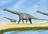 Eksempel på sauropoder: alamosauruser. (Lisens: CC BY-SA 3.0) https://commons.wikimedia.org/wiki/File:AlamosaurusDB.jpg Foto: Bogdanov / DiBgd at English Wikipedia