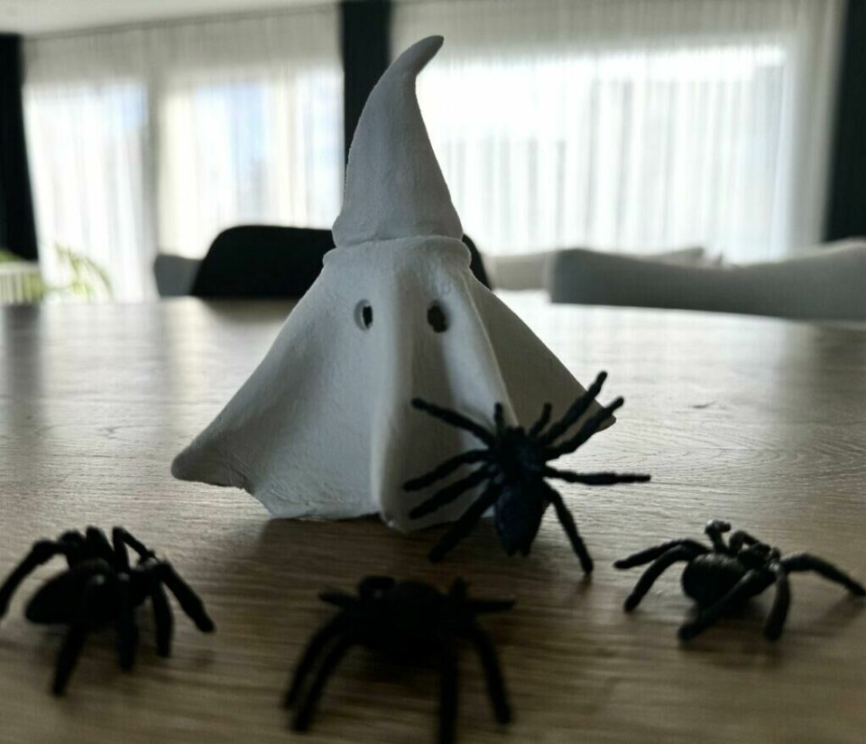 Et lite spøkelse er omgitt av edderkopper – Halloween-stemningen er satt! (Foto: Kreative Ideer/ Aurora Lange)