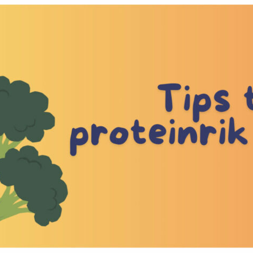 (Foto: Cecilie Aasland / ABC Startsiden) Gult og oransje bilde med brokkoli og teksten «tips til proteinrik snack» til dagens program av Cornelis Elander sitt gratis treningsprogram, med alt fra styrkeøvelser og cardio, som alle kan gjennomføres hjemme og med kroppsvekt eller manualer. Med dette treningsprogrammet kommer du i form i sommer, og det passer for både nybegynnere, mer erfarne og godt trente!