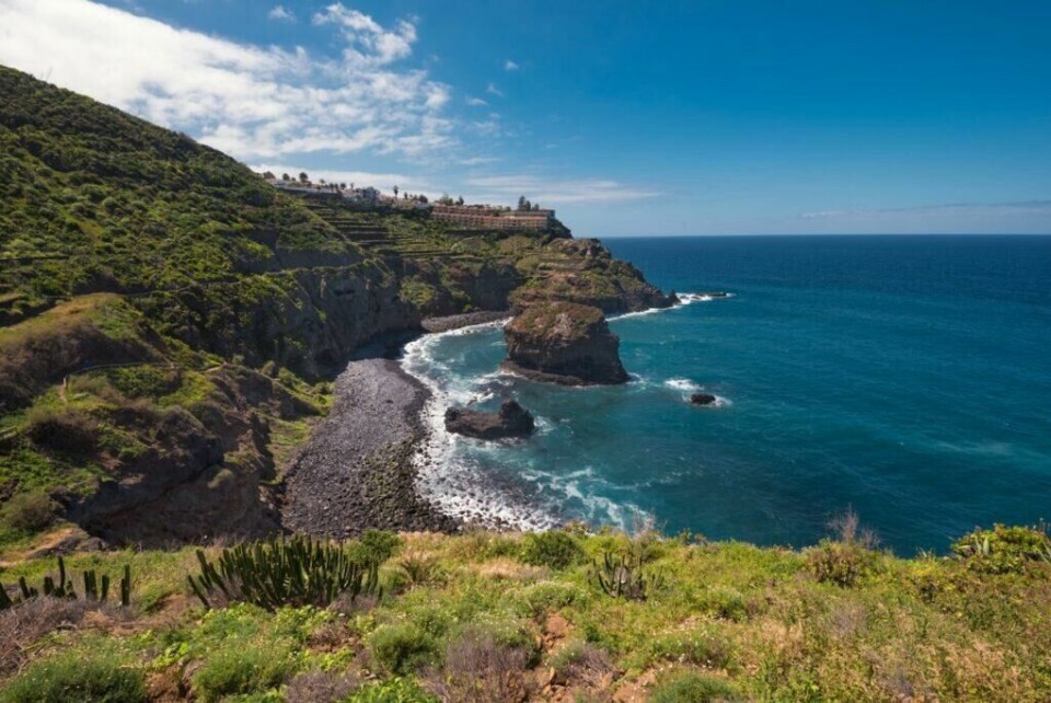 Tenerife har en variert natur som består av alt fra svart lavasand til grønne trær. (Foto: Colourbox) En steinete kystlinje på Tenerife, Kanariøyene, med bratte grønne klipper som stuper ned i det klare blå havet. Langs kysten er det noen små steinstrender, og vegetasjonen er frodig og grønn. Tenerife er den største Kanariøyen og har Spanias høyeste fjell, Teide. Hovedstaden er Santa Cruz de Tenerife. Her kan du finne billige reiser til Tenerife, samt hotell på den populære kanariøyen.