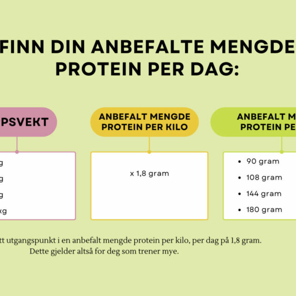 Tabellen viser hvor mye protein en person som trener mye trenger per dag. Vi har tatt utgangspunkt i en kroppsvekt på 50, 60, 80 og 100 kilo og ganget dem alle med anbefalte 1,8 gram protein, som er det som er anbefalt til en person som trener mye. (Foto: Cecilie Aasland / ABC Startsiden) Bilde av et diagram som viser hvor mye protein man trenger per dag, etter kroppsvekt. Her ganger vi med 0,8 gram protein per kilo per dag.