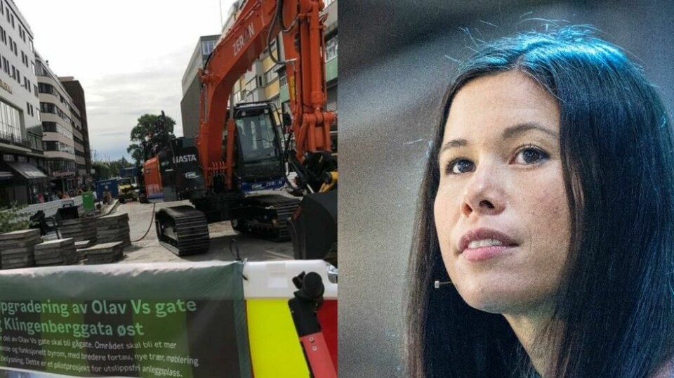 Trehuggingen i Oslo sentrum i 2019 skapte kraftige reaksjoner.