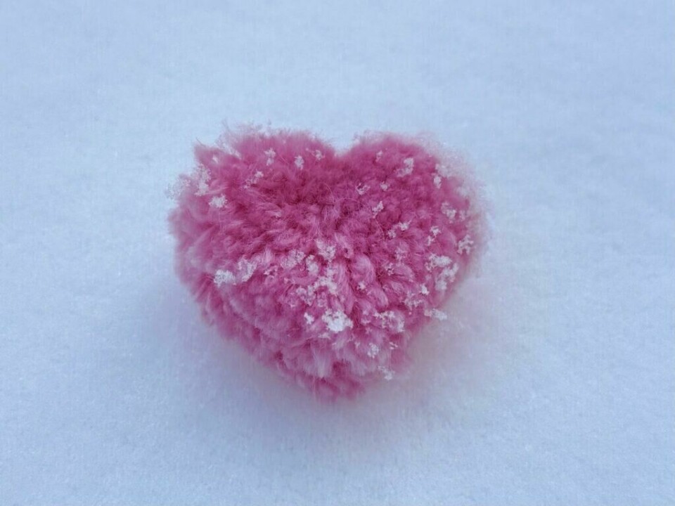 Snøkrystaller som dekker et myk, rosa hjertedusk. (Foto: Kreative Ideer/ Aurora Lange)