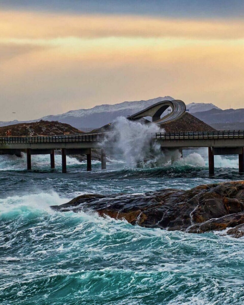 Flotte broer og spektakulær natur er bare noe av det du kan oppleve langs Atlanterhavsveien! Atlanterhavsveien på en dramatisk dag med høye bølger som slår mot broen. En av broene langs veien stiger bratt opp og danner en kurve før den går ned igjen. Havet under er turbulent med kraftige bølger som bryter mot steinene og broens søyler. Fjell kan sees i bakgrunnen under en fargerik himmel. Her får du tips til syv vakre bilturer i Norge som er perfekt for norgesferien. Geiranger og Trollfjorden, Atlanterhavsveien, Lofoten, Hardanger, Rondane, Gamle Strynefjellsvegen, Senja.