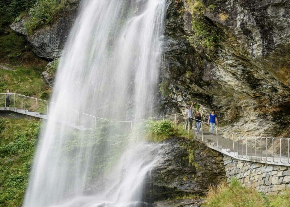 Hardanger byr på noe for enhver smak. Her får du alt fra bratte fjell til frodige daler. (Foto: Jarle Weahler/Statens vegvesen) En gruppe mennesker går på en gangbro som passerer tett ved Steinsdalsfossen. Fossen kaster vann nedover klippen, og vegetasjonen rundt er grønn og frodig. Gangbroen er bygget av metall og stein, og strekker seg langs fjellveggen. Personene på broen ser ut til å nyte utsikten og omgivelsene. Her får du tips til syv vakre bilturer i Norge som er perfekt for norgesferien. Geiranger og Trollfjorden, Atlanterhavsveien, Lofoten, Hardanger, Rondane, Gamle Strynefjellsvegen, Senja.