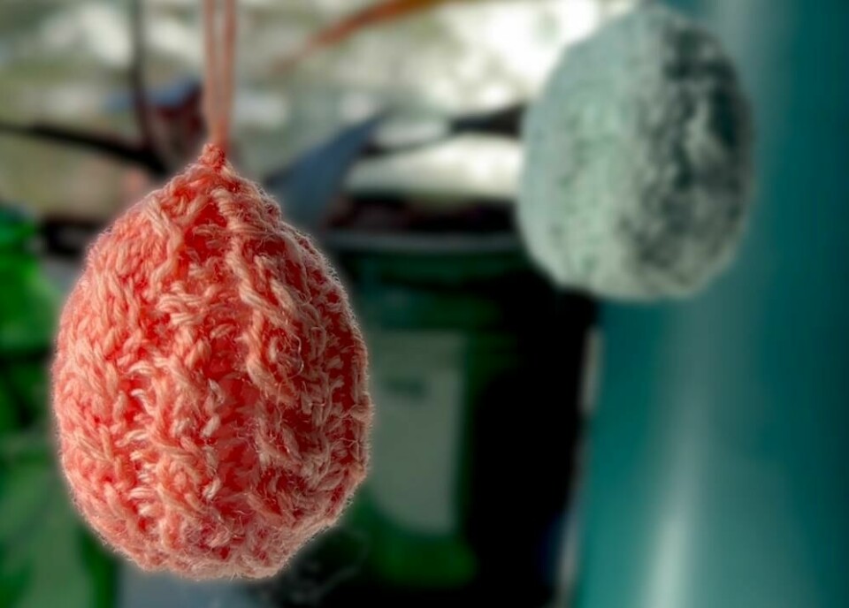 Strikkede påskeegg med flettestrikk gir en lun og dekorativ vårstemning. (Foto: Miriam Schjetlein) Et nærbilde av to strikkede påskeegg som henger i tråder. Det fremste egget er rosa og strikket med flettestrikk uten flettepinne, noe som gir en strukturert og intrikat overflate. I bakgrunnen henger et blått egg, litt ute av fokus. Omgivelsene er diffuse med grønne planter og potter i myk belysning, som fremhever strikketeksturen.
