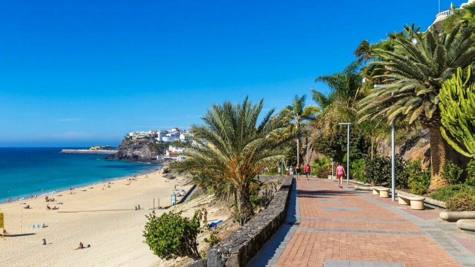 På jakt etter pakkereise til Kanariøyene? Her finner du de billigste restplassene til de mest populære øyene som Gran Canaria, Tenerife, Lanzarote og Fuerteventura!