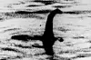 Folk hevder dette bildet viser sjømonsteret i Loch Ness. Foto: AP / NTB