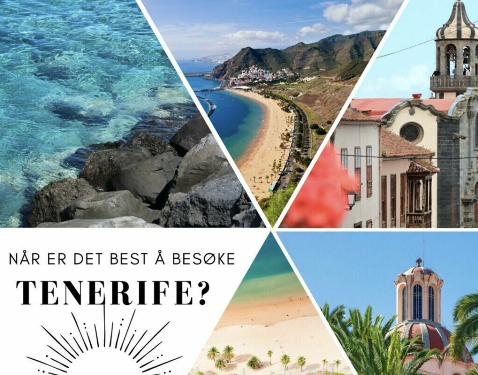Sommer, høst, vinter eller vår, når er det egentlig best å besøke Tenerife med tanke på temperatur og vær? Den største og visstnok vakreste av kanariøyene kan deles inn i to klima, og har derfor noe for alle! Vi forteller når du bør venda snuten mot vulkanøya. (Foto: Montasje av bilder fra Canva av Cecilie Aasland (ABC Startsiden))