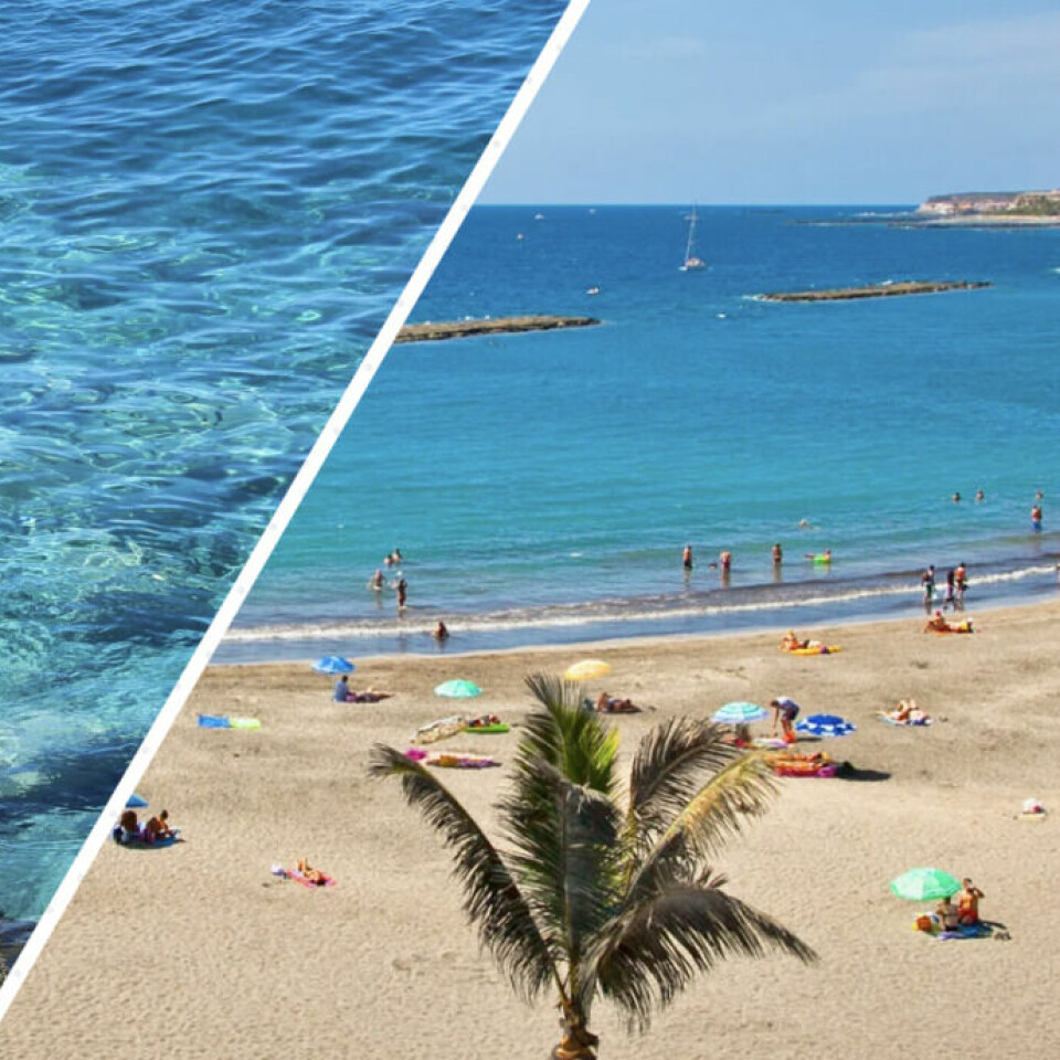 Vær og temperatur på Tenerife: Når er det best å besøke kanariøya? Bildet er delt diagonalt i to seksjoner. På venstre side ser vi klart turkisblått vann med steiner under overflaten, som gir en følelse av krystallklarhet og naturlig skjønnhet. På høyre side vises en strand med gyllen sand, solsenger og parasoller, der flere personer nyter dagen ved vannkanten. Havet er rolig og blått, med noen få seilbåter i horisonten og små steinmoloer som beskytter stranden. Det er også en palme i forgrunnen som bidrar til den tropiske stemningen. Bildet viser en idyllisk kombinasjon av ren natur og en avslappende strandopplevelse.