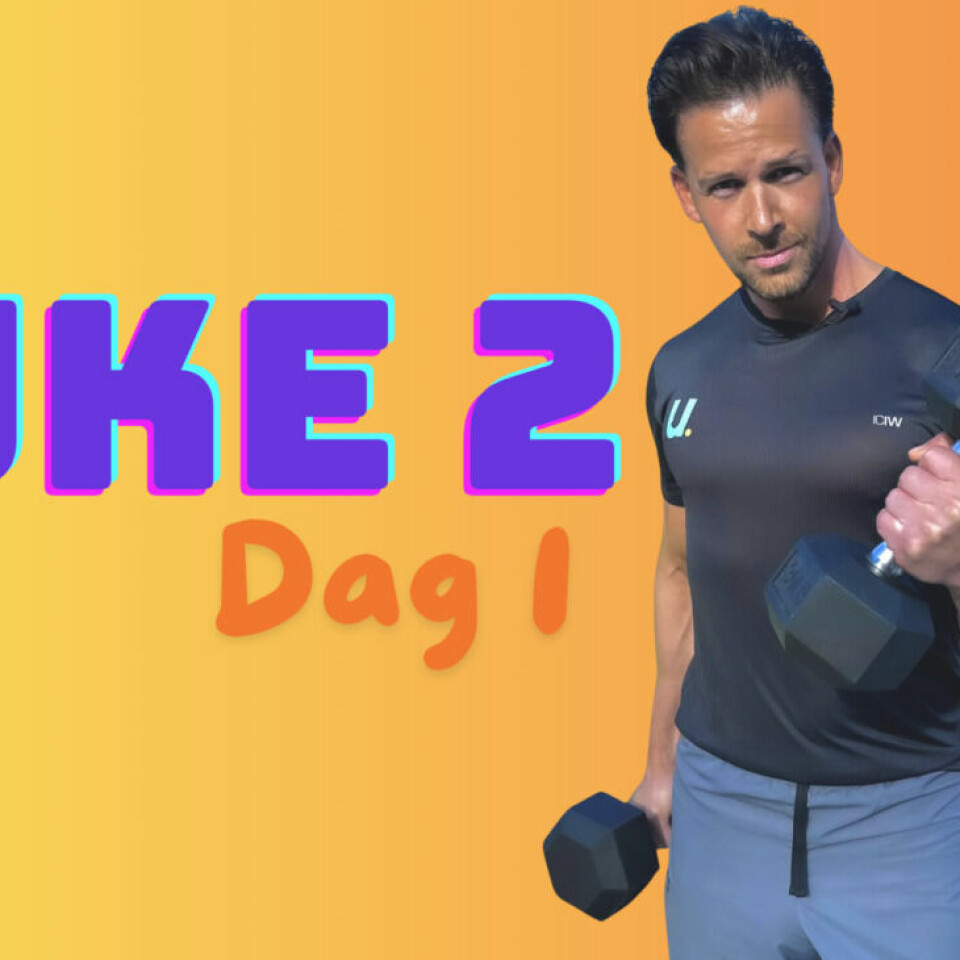 Personlig trenerCornelis Elanderhar laget et gratis treningsprogram, med alt fra styrkeøvelser og cardio, som alle kan gjennomføres hjemme! Med dette treningsprogrammet kommer du, som er alt fra nybegynner til erfaren, i ditt livs beste i form i sommer! (Foto: Cecilie Aasland / ABC Startsiden)