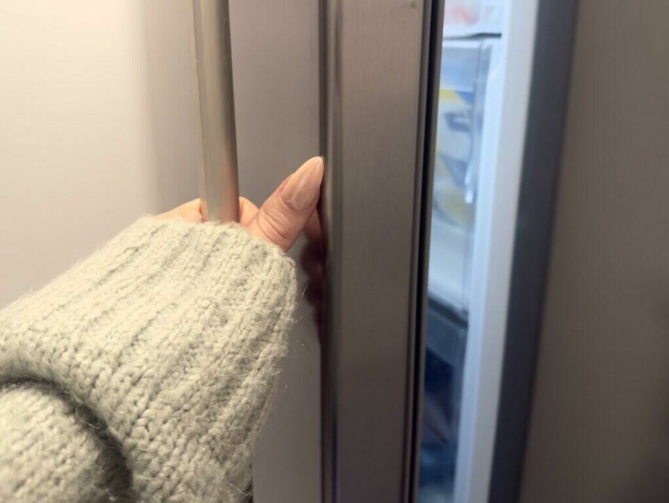 Har du glemt å ta ut kjøttet fra fryseren? Tin opp kjøttet riktig. (Foto: Aurora Lange)