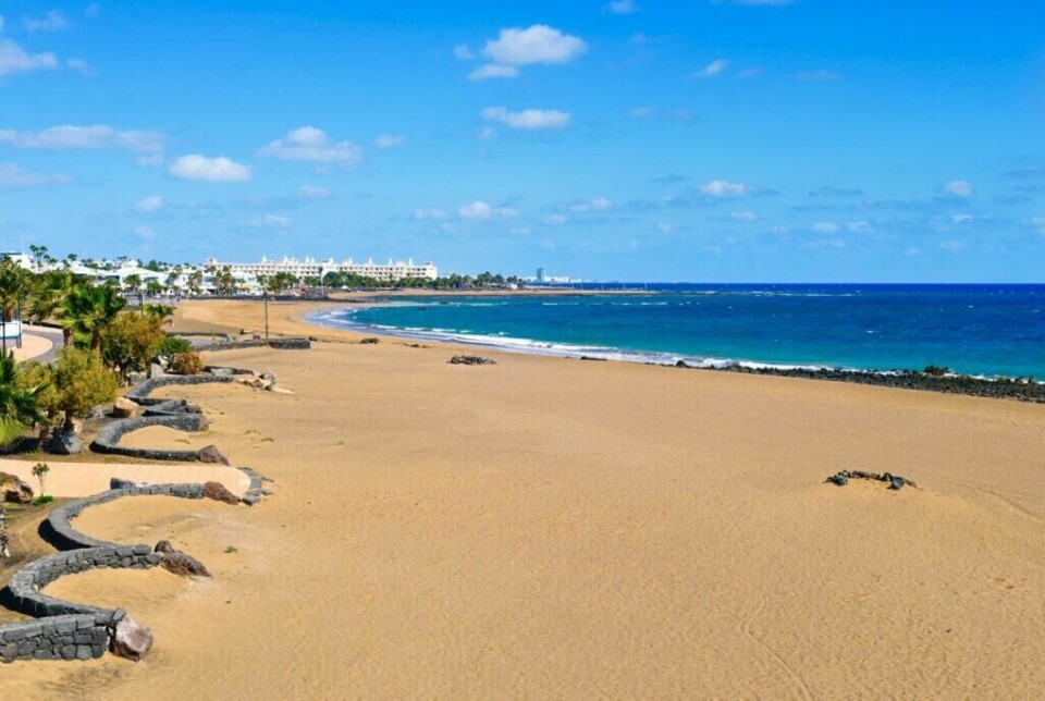 Ved Costa Teguise på Lanzarote finner du kanskje en av Kanariøyenes fineste strender. (Foto: Colourbox) En vidstrakt strand på Lanzarote, Kanariøyene, med gyllen sand og det blå havet som strekker seg mot horisonten. Langs stranden er det promenader med palmer og frodige planter, og i bakgrunnen kan man se hvite bygninger og hotellkomplekser under en klar blå himmel.