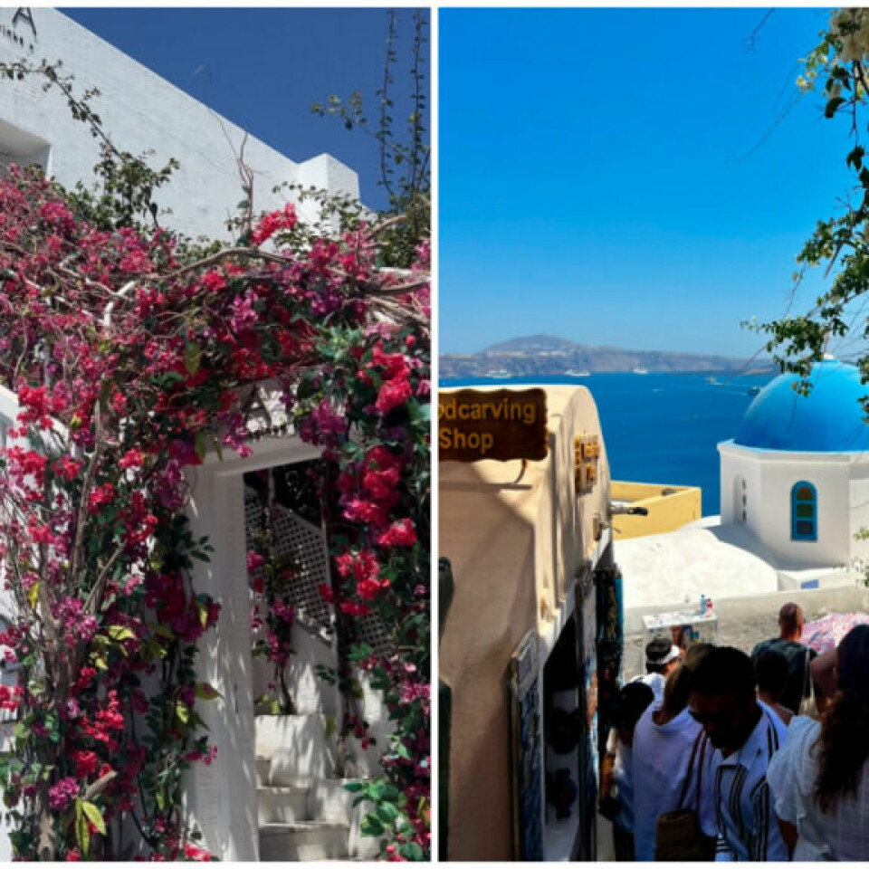 Santorini er en fin start på øyhoppings eventyret i Hellas (Foto: Ole Kristian Aaknes) Bildet er en kollasj som viser to ikoniske scener fra Hellas. Til venstre ser vi en hvitkalket bygning dekket av bougainvillea-blomster i sterk rosa, typisk for øyer som Paros og Santorini. Til høyre er det en gate i Santorini som fører ned mot en blå kuppelkirke med havet i bakgrunnen. Scenen er fylt med besøkende som utforsker den tradisjonelle arkitekturen og nyter utsikten mot det glitrende Egeerhavet.
