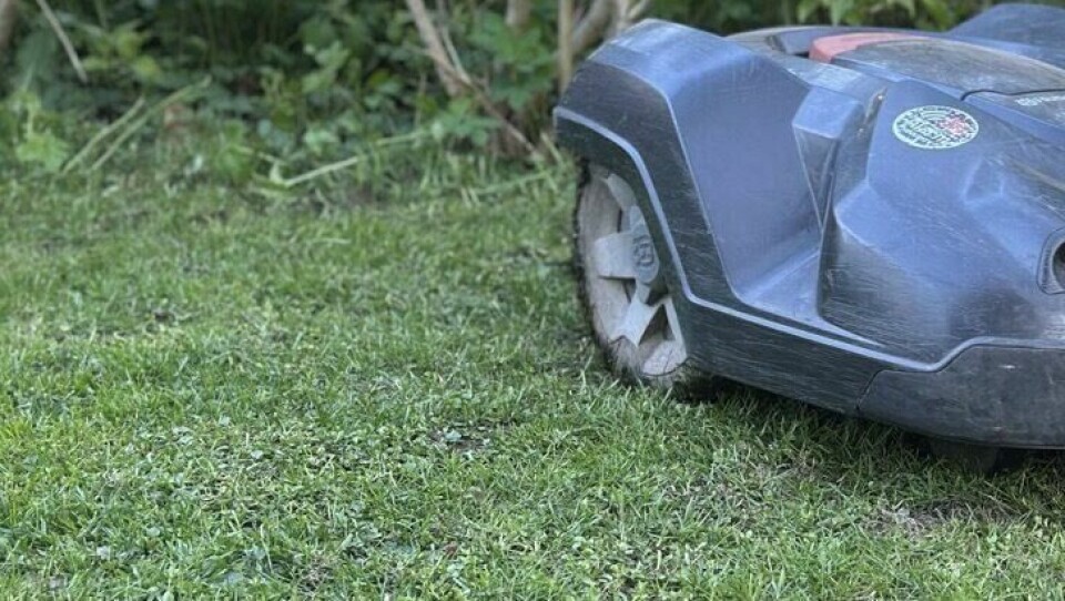 Robotgressklipper uten kantledning blir stadig mer normalt. VI har funnet modeller fra WORX, Segway og Husqvarna som alle er best i test i 2025.