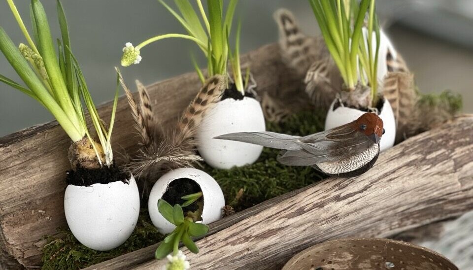 Kreativ vårdekorasjon med perleblomster plantet i tomme eggeskall, arrangert i en rustikk treboks med grønn mose, fjær og en dekorativ fugl. Dekorasjonen står på et flettet underlag og kombinerer naturlige materialer med sesongens blomster for en stemningsfull påskestemning. Gjør det vårfint med eggeskall og perleblomster! Denne naturlige dekorasjonen passer perfekt til påske og vårbordet.