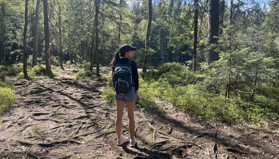 – Gode forberedelser gir rikere turopplevelser, sier Veronica Solbak, redaktør for UT.no. Hun gir oss en konkret pakkeliste for fjellturene i sommer, og forteller hvordan du både forbereder deg og kler deg til en hver tur.
