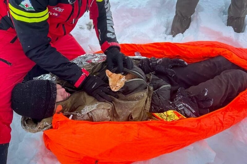 «Fersken» titter frem fra jakken under redningsaksjonen i de rumenske fjellene. Foto: Salvamont Maramures via AP