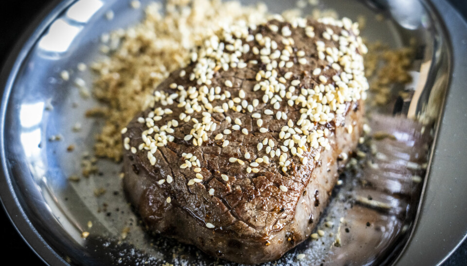 Spiser du på et steakhouse, så frister det kanskje med en sånn. Med lydfiler i ordboken, skal danskene få hjelp til å huske hvordan man uttaler en amerikansk eller engelsk «steak». Illustrasjonsfoto: Ole Berg-Rusten / NTB