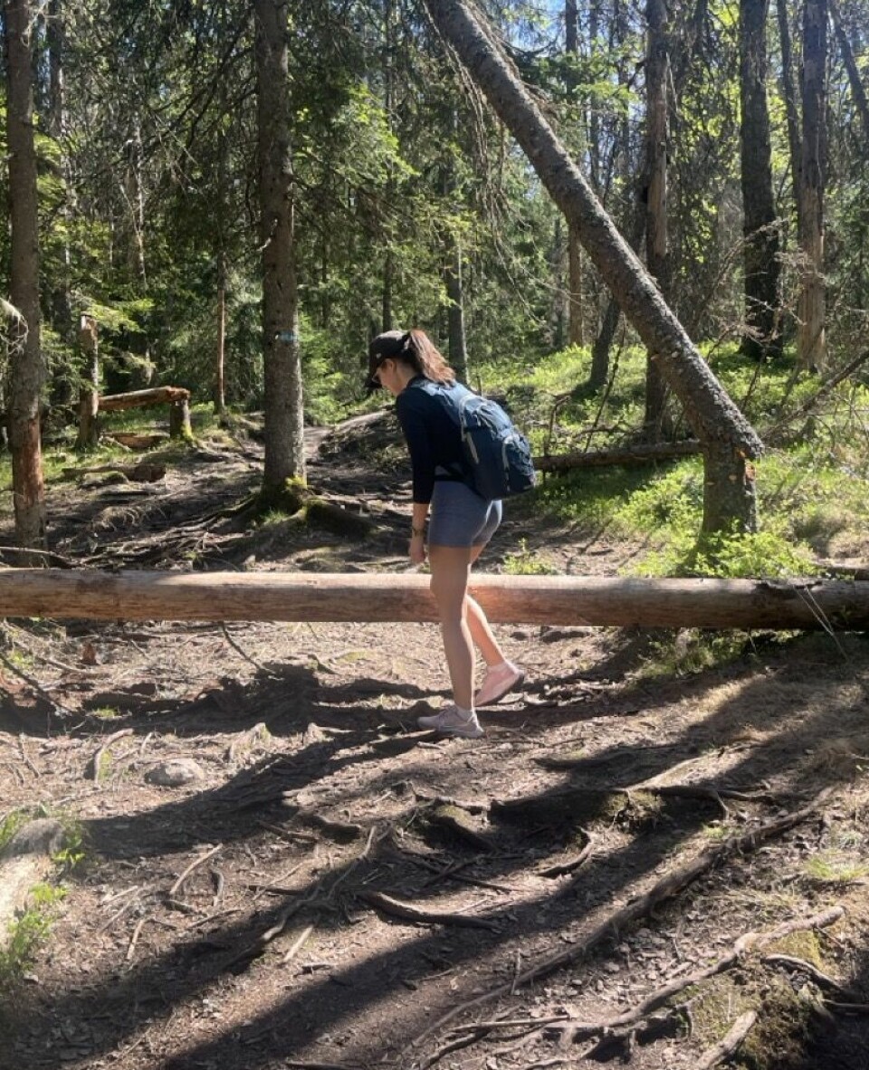 Tyngden på sekken og innholdet varierer etter hvor du skal på fot- eller fjelltur. En dagstur som Dronningstien krever mindre enn for eksempel «Trekanten i Trollheimen», men Solbak trekker frem en kjernepakke alle bør ha med på sommertur i fjellet. En kvinne på fottur i skogen bøyer seg forsiktig under en trestamme som har falt over stien. Hun har på seg caps, tursekk og shorts, og solen skinner mellom trærne og lager skygger på bakken. Bildet formidler en rolig og autentisk turopplevelse i norsk natur, der små hindringer underveis bare er en del av sjarmen.
