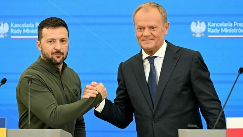 Volodymyr Zelenskyj og Donald Tusk.