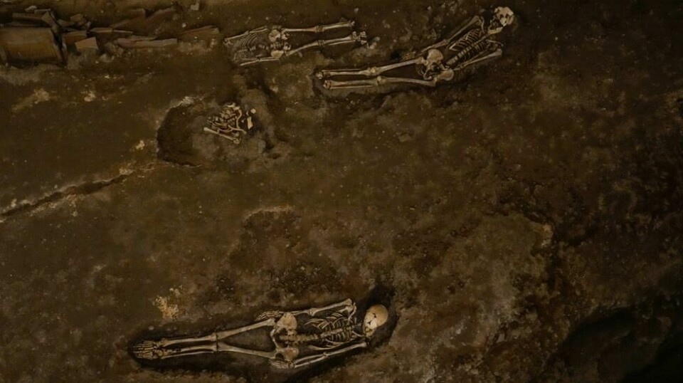 Gravene, som dateres fra det første til det fjerde århundre e.Kr., huser hovedsakelig restene av slaver, frigjorte og håndverkere fra byen Roma.