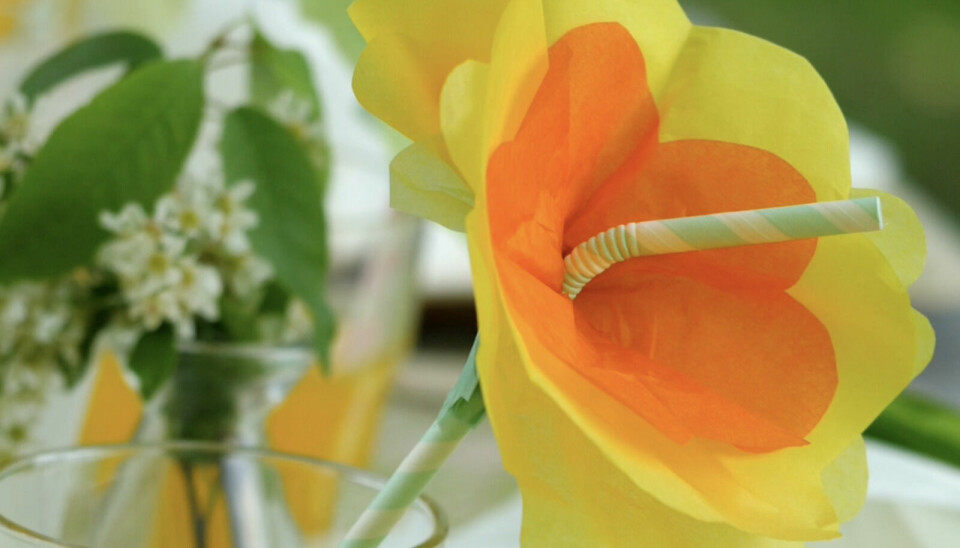 Pynt sugerørene med blomster av silkepapir – en enkel og fargerik idé til sommerens bordpynt. Bildet viser en hjemmelaget blomsterformet bordpynt laget av silkepapir og festet rundt et sugerør. Blomsten, som består av gule og oransje lag, er tredd på et stripete sugerør som står i et glass med gul brus. I bakgrunnen skimtes hvite servietter og grønt løv, som understreker den sommerlige stemningen ved bordet.
