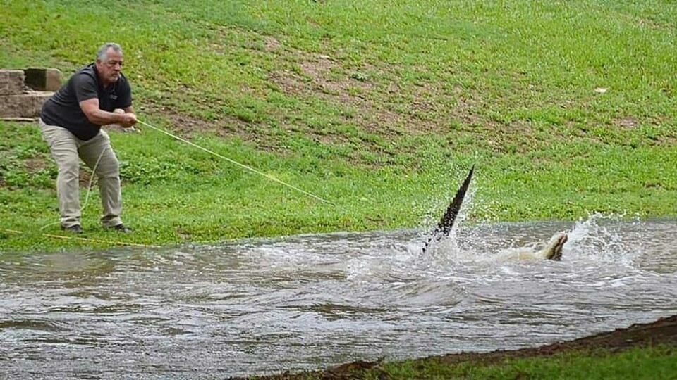 Den 2,5 meter lange krypdyret ga seg ikke uten kamp. Den 2,5 meter lange krypdyret ga seg ikke uten kamp. Foto: Jonty Fratus / AFP