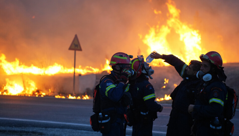 Søndag brøt det ut skogbranner på øya Khios i Hellas. 6300 hektar – 7 prosent av øya – er blitt rammet av flammene.