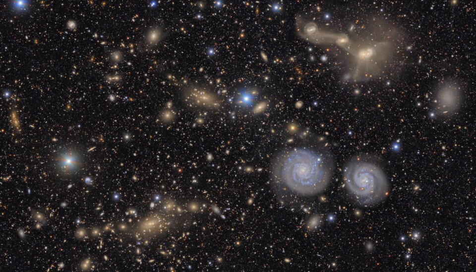 Dette bildet, levert av NSF-DOE Vera C. Rubin-observatoriet, viser en annen liten del av observatoriets utsyn over Virgo-hopen.