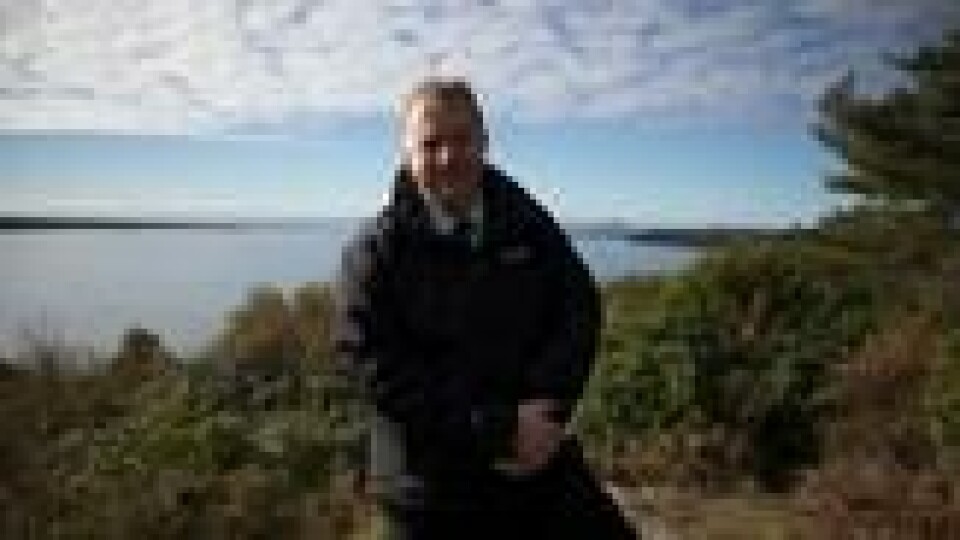 Utsikten fra skogen rundt Portmeirion er noe få turister får med seg. Meurig Jones skulle ønske flere tok i bruk den spesielle skogen rundt landsbyen. Utsikten fra skogen rundt Portmeirion er noe få turister får med seg. Meurig Jones skulle ønske flere tok i bruk den spesielle skogen rundt landsbyen. Foto: Elisabeth Bergskaug/ABC Nyheter