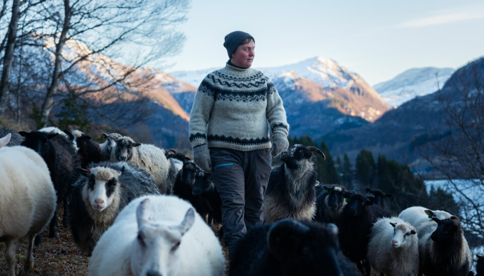 Dette er en jobb der ferieavvikling og helligdager ikke er et tema.