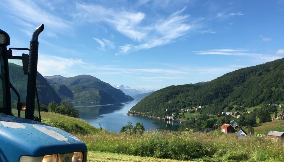 Under gode forhold i nord driver Rakel med selvdyrk.