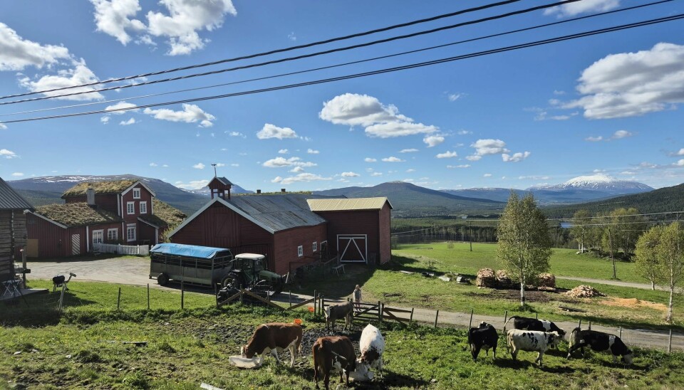 Aasgård i Vingelen.