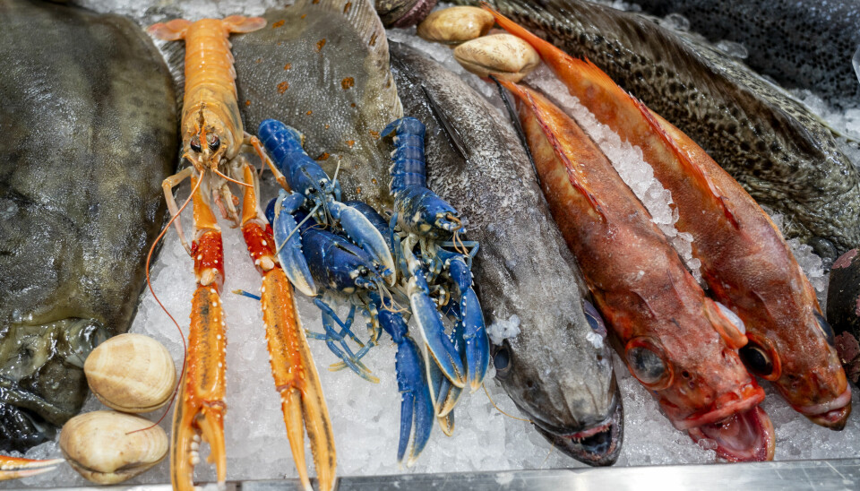 Samtidig med at vi spiser mindre fisk, går prisen på sjømat opp. På bildet ser du sjøkreps, blåkreps, rødspette og uer.