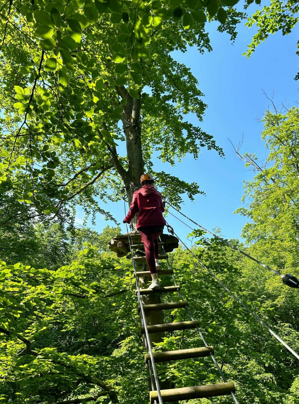 På Camp Adventure går flere av rutene i opptil 25 meters høyde.