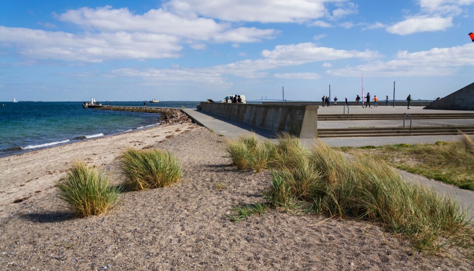 København har flere strender, men hvis du skal surfe, er Amager Strandpark stedet. Her kan du også leie utstyr og ta kurs.