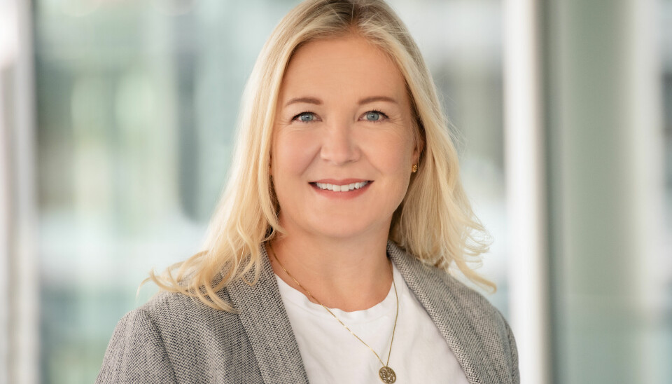 Rema 1000 topper statistikken med en økning på 70 prosent sammenlignet med året før. Det opplyser Hege Rognlien, kommunikasjonsdirektør hos Rema 1000.