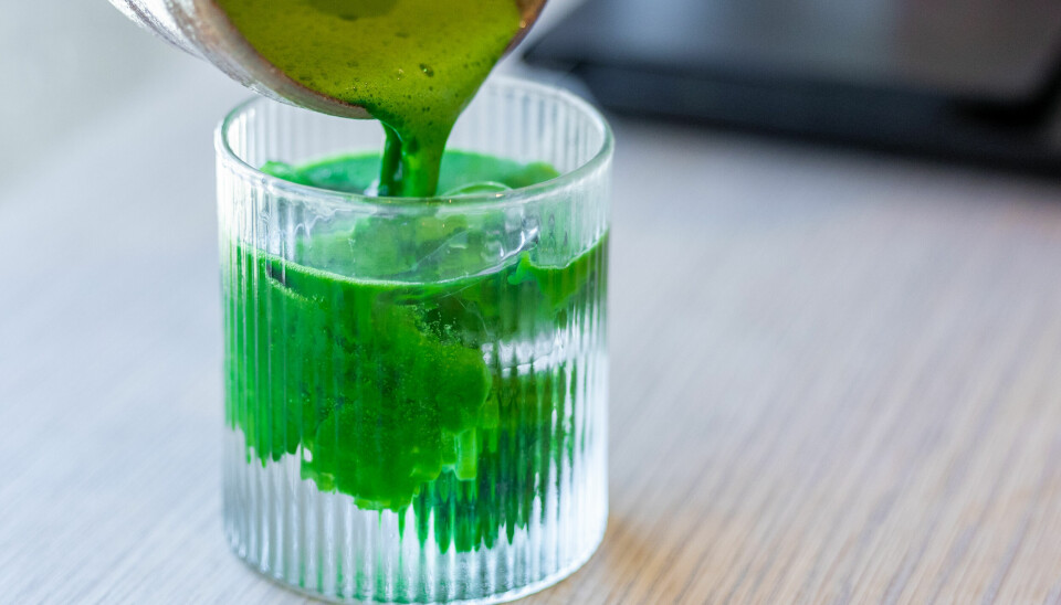 Matcha stammer fra Japan, og etterspørselen har blitt for stor for produsentene der.