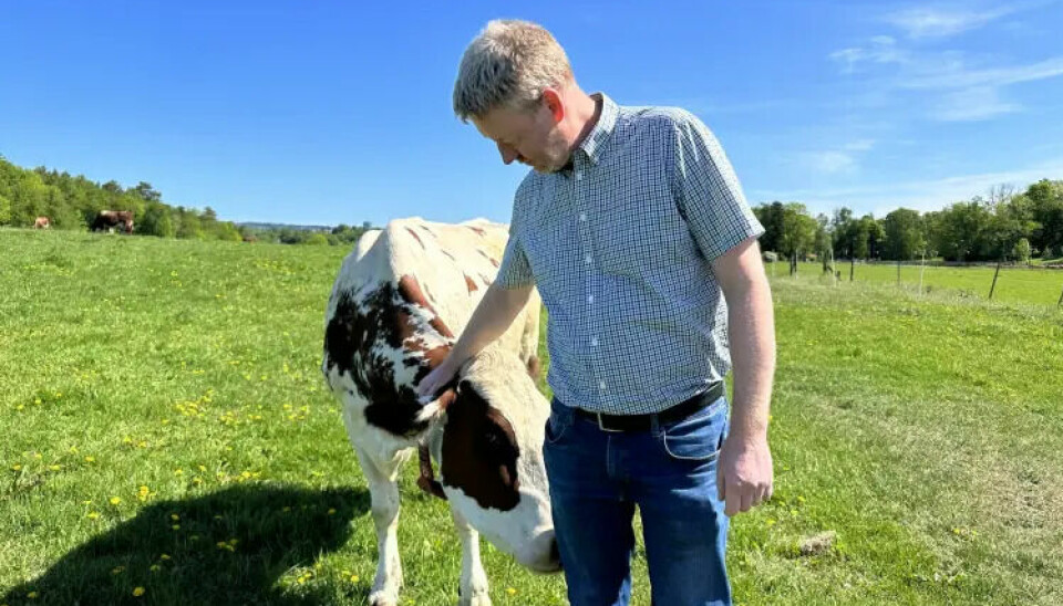 Norge er et gras- beiteland. Det gir oss en fordel i husdyrhold, men stiller også krav til hvordan vi innretter produksjonen, forbruket og politikken vår, skriver bondelagsleder Bjørn Gimming.